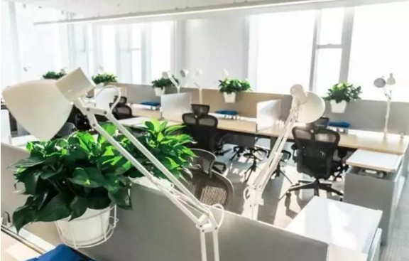 騰訊寫(xiě)字樓裝修實(shí)景圖